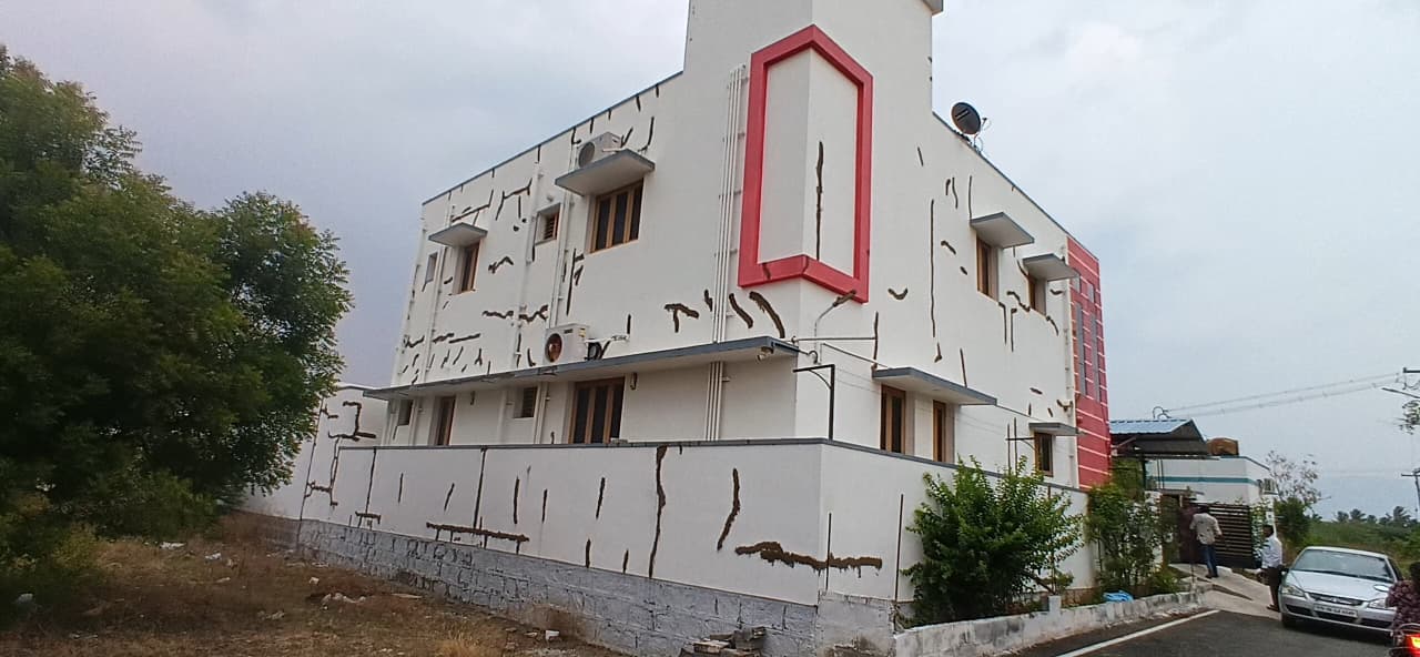 Pest Control Services
